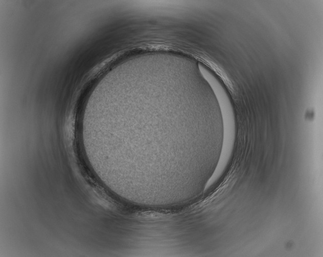 X0000116810722201001081354