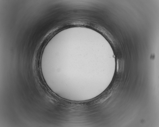 X0000116810723201001081355