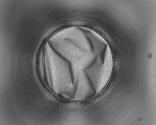 X0000116810725201001081355