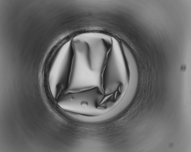 X0000116810726201001081355