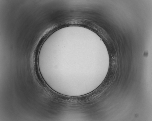 X0000116810727201001081355