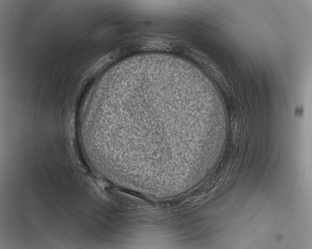 X0000116810729201001081355