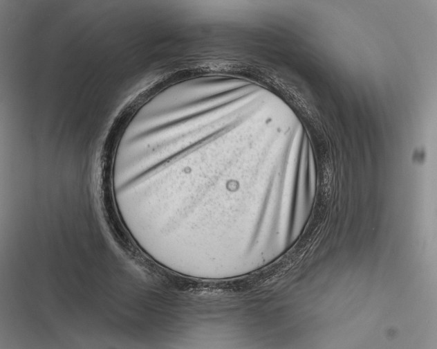 X0000116810730201001081355