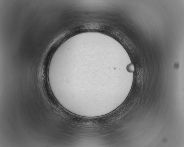 X0000116810731201001081355