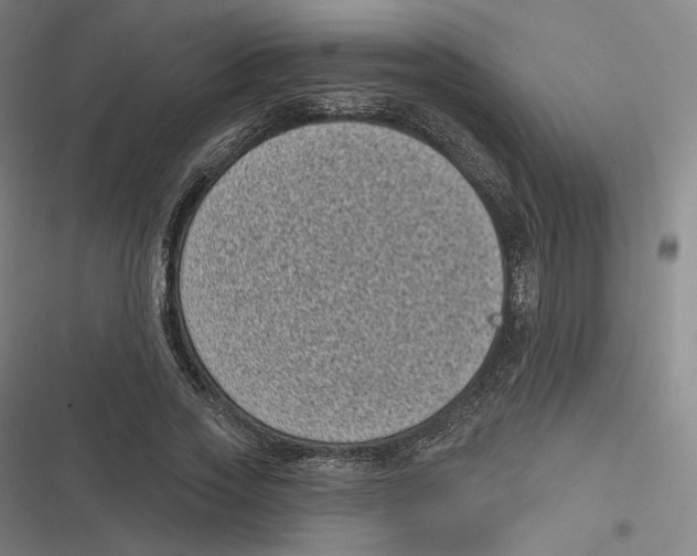 X0000116810733201001081355