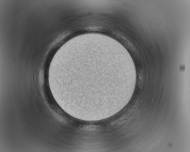 X0000116810734201001081355