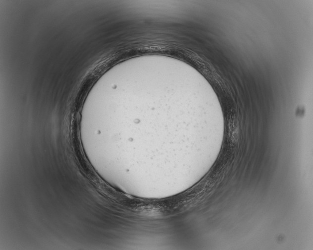 X0000116810735201001081355