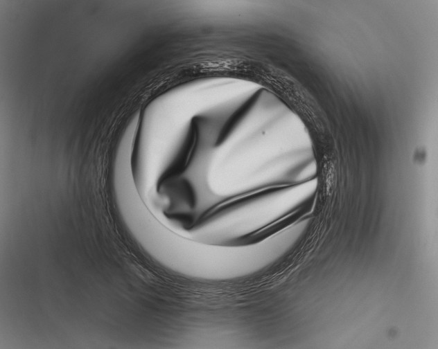 X0000116810737201001081355