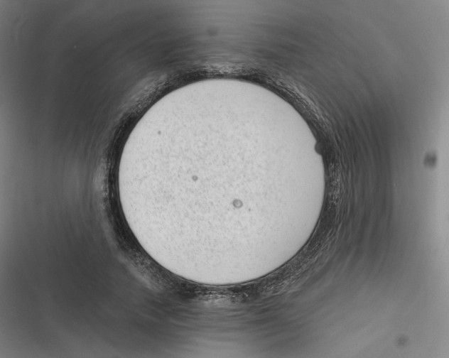 X0000116810738201001081355