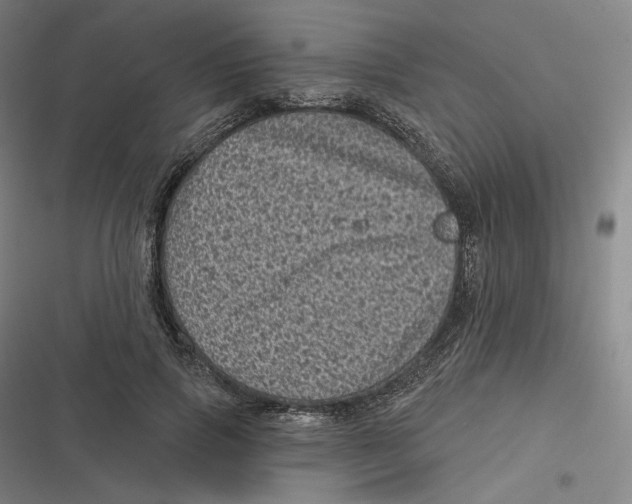 X0000116810741201001081355