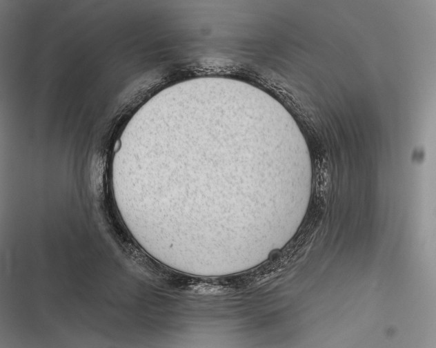 X0000116810742201001081355