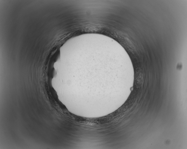 X0000116810743201001081355