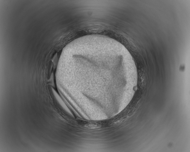 X0000116810745201001081355