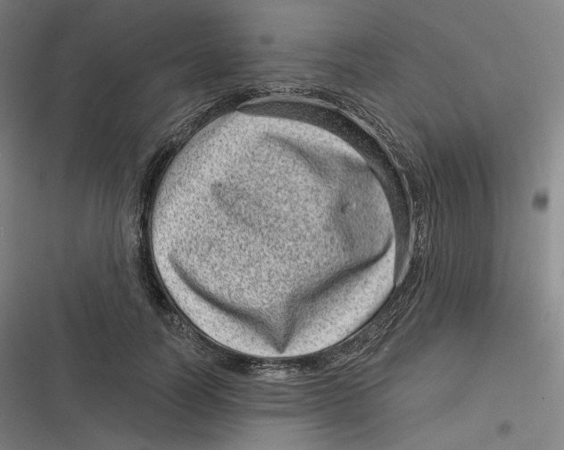 X0000116810746201001081355