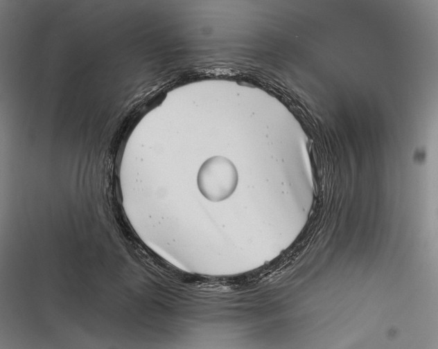 X0000116810747201001081355