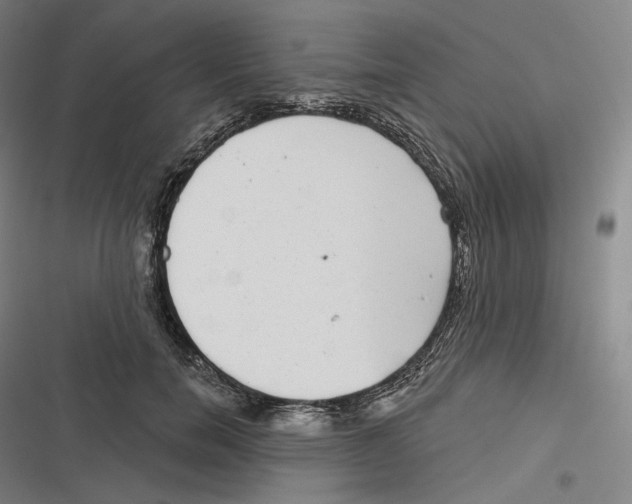 X0000116810750201001081355