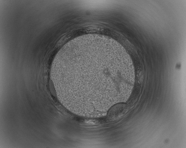 X0000116810753201001081355