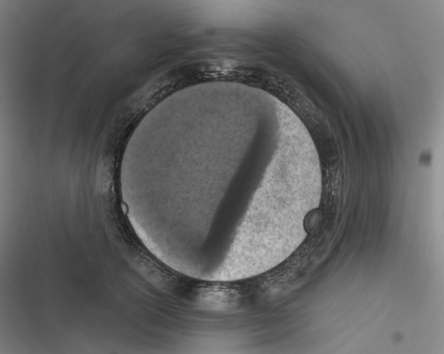 X0000116810754201001081355