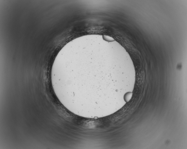 X0000116810755201001081355