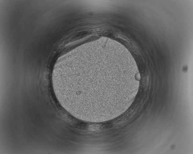 X0000116810757201001081355