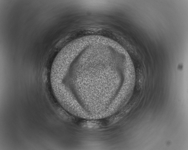 X0000116810758201001081355