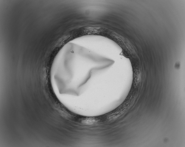 X0000116810759201001081355