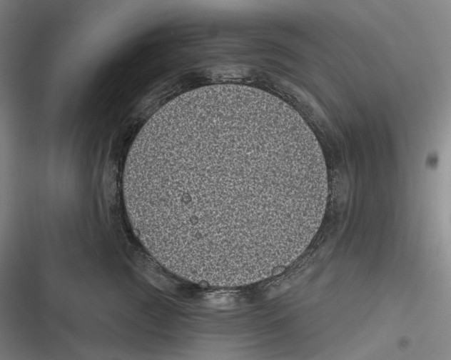 X0000116810761201001081355