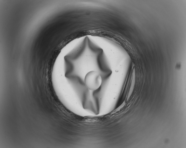 X0000116810762201001081355