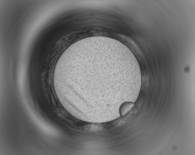 X0000116810765201001081355