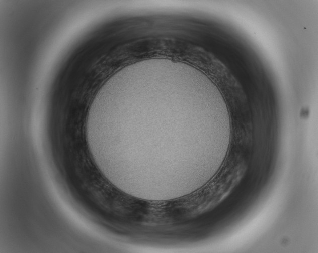 X0000116810766201001081355