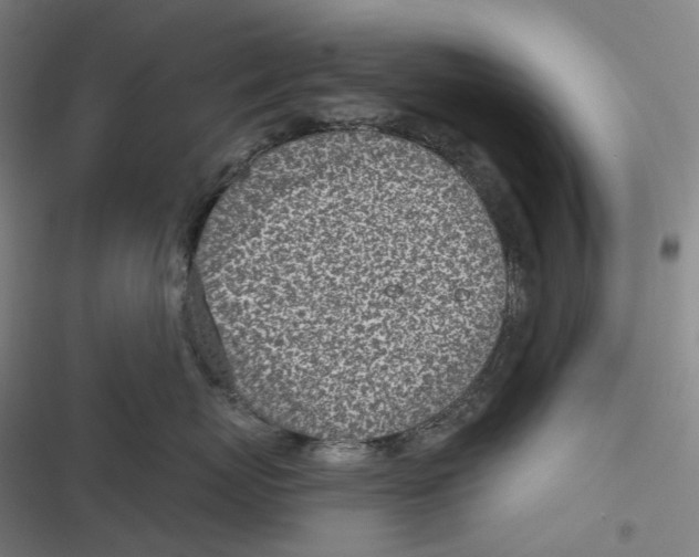 X0000116810767201001081355