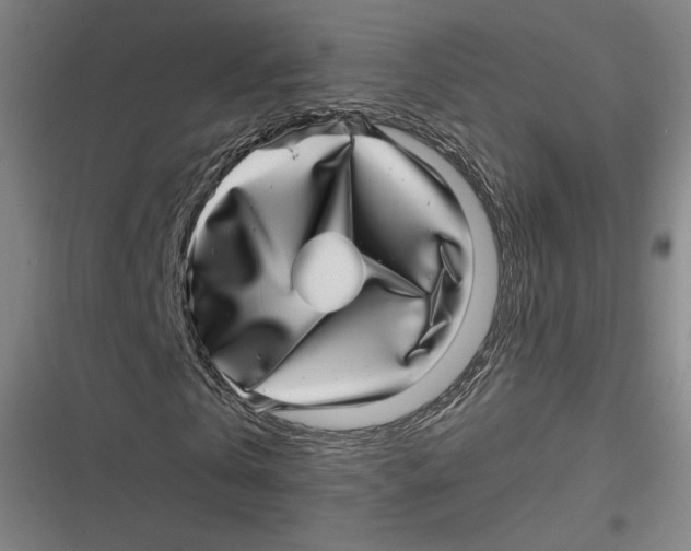 X0000116810769201001081354