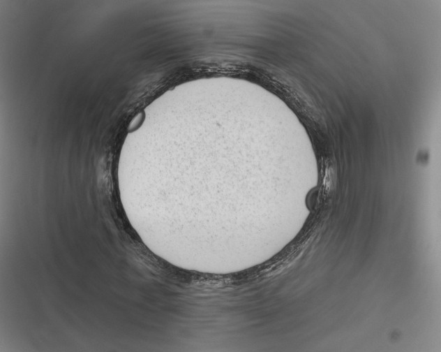 X0000116810771201001081354