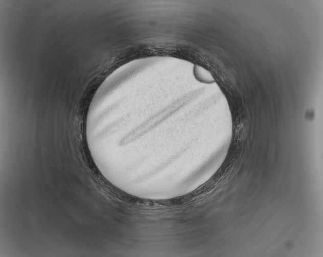 X0000116810772201001081354