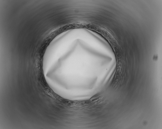 X0000116810773201001081354