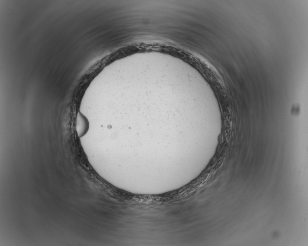 X0000116810775201001081354