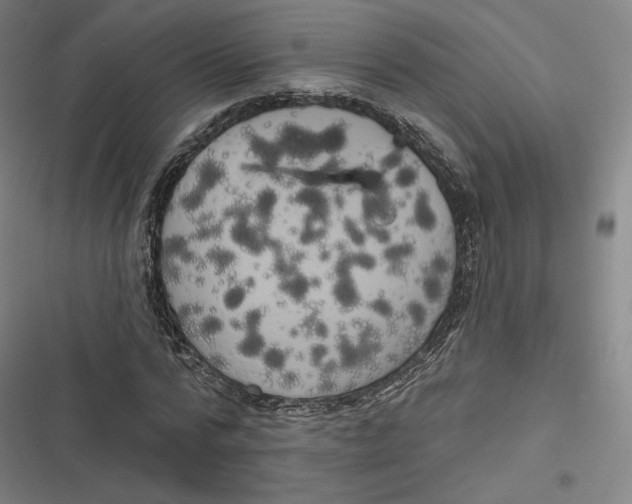 X0000116810776201001081354