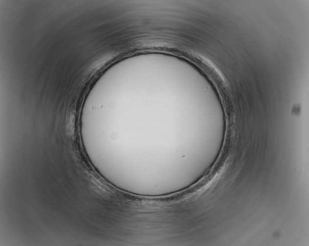 X0000116810777201001081354