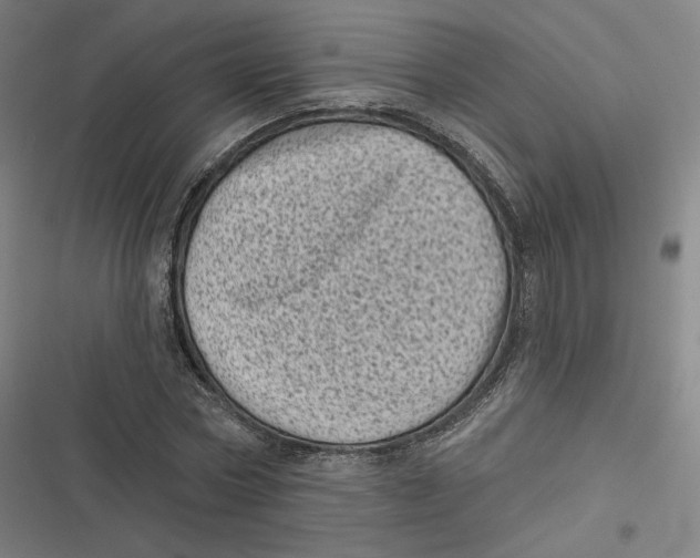 X0000116810778201001081354