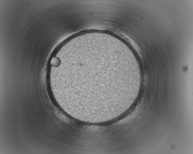 X0000116810779201001081354