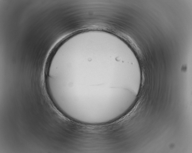 X0000116810780201001081354