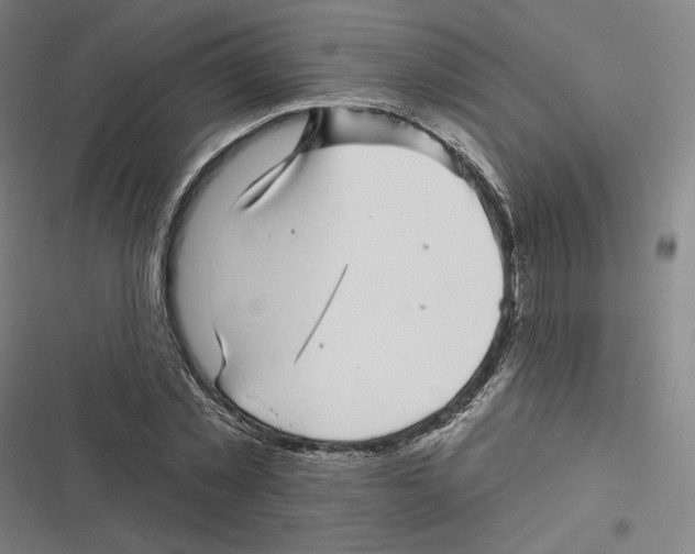 X0000116810781201001081354