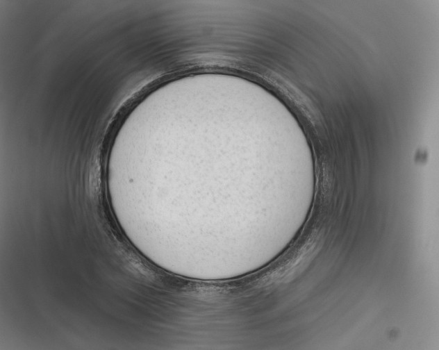 X0000116810782201001081354