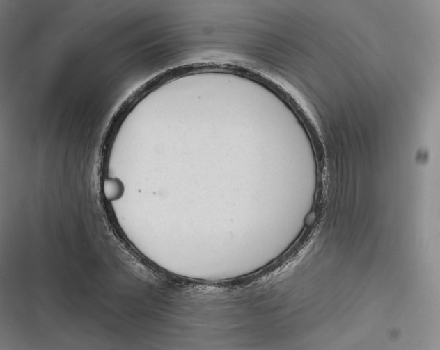 X0000116810783201001081354