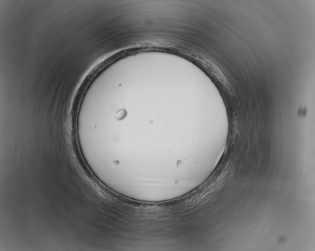 X0000116810784201001081354