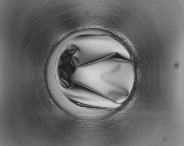 X0000116810785201001081354