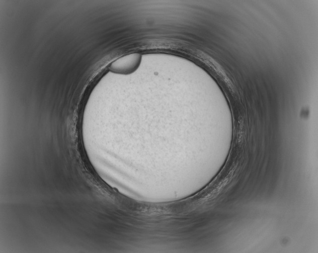 X0000116810786201001081354