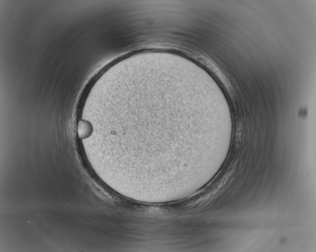 X0000116810787201001081354