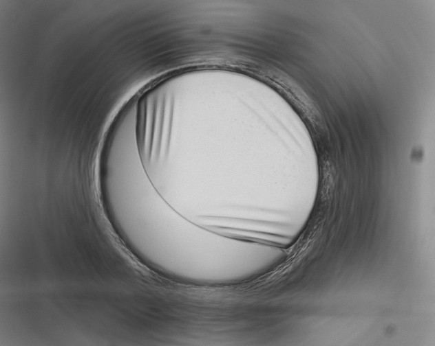 X0000116810788201001081354