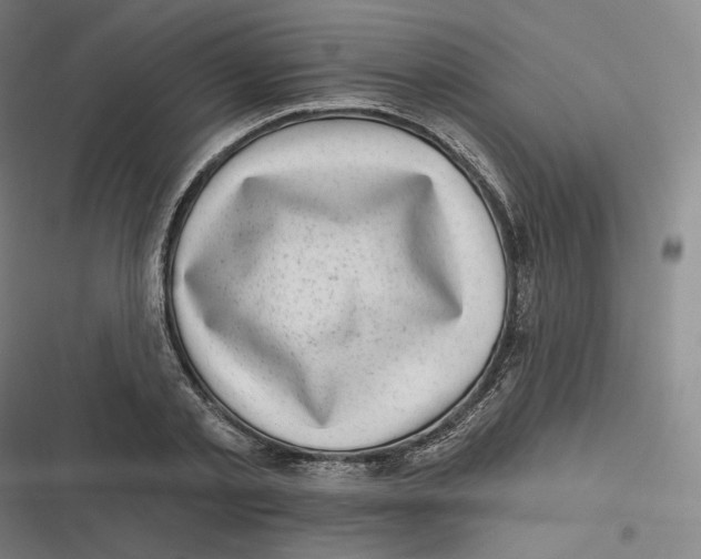 X0000116810789201001081354